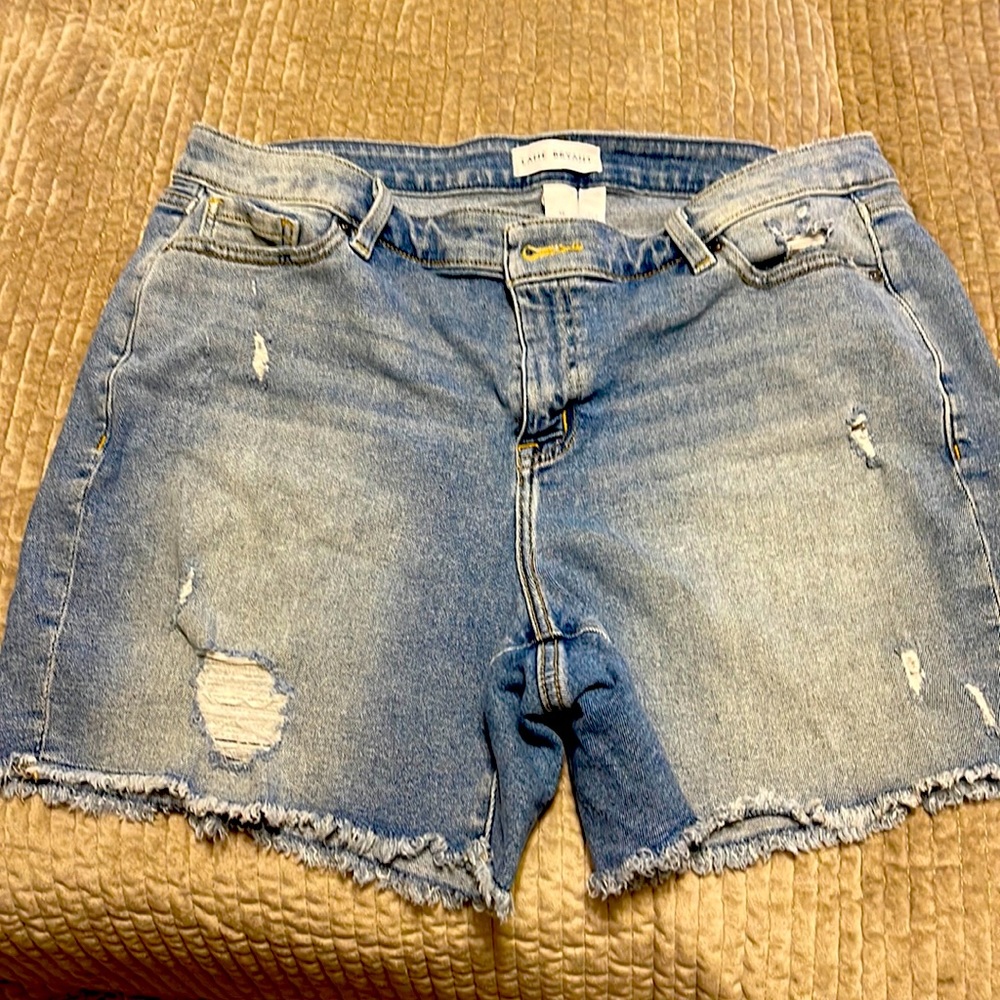 Lane Bryant Shorts